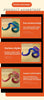 Snake Toy 3D Printed Viper Toy Gem Eye Joints Movable Figure Landscaping Ornaments Office Decoration Home Decorations Decor Toys